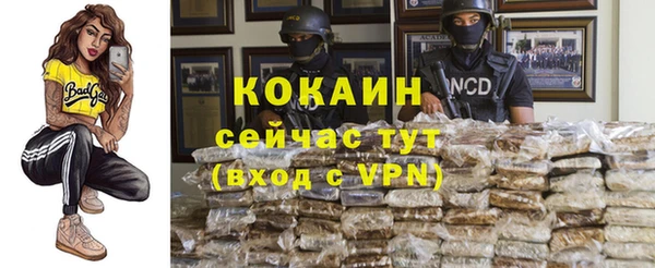 соль курить ск Богданович