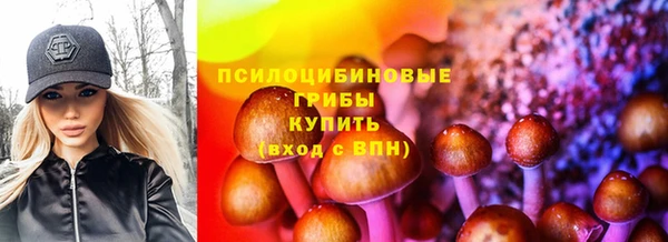 соль курить ск Богданович