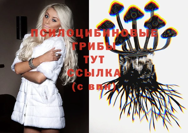 соль курить ск Богданович