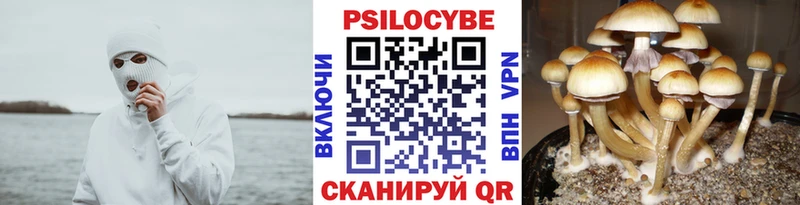 МЕГА как зайти  где продают наркотики  Тверь  Галлюциногенные грибы GOLDEN TEACHER 