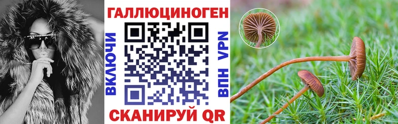 Псилоцибиновые грибы ЛСД Тверь