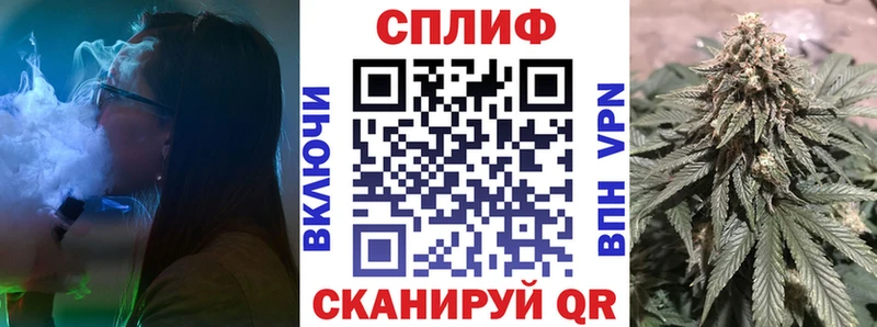 МАРИХУАНА семена  где найти   Тверь 